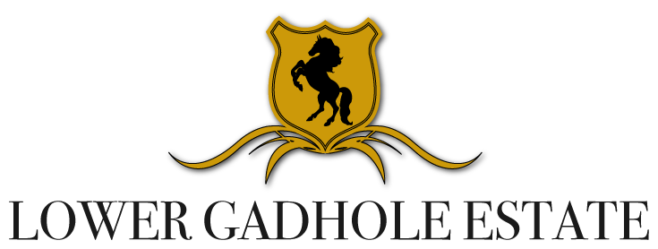 Lower Gadhole Estate – FOR SALE